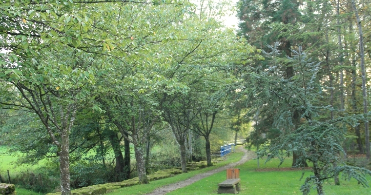 promenade ombragée